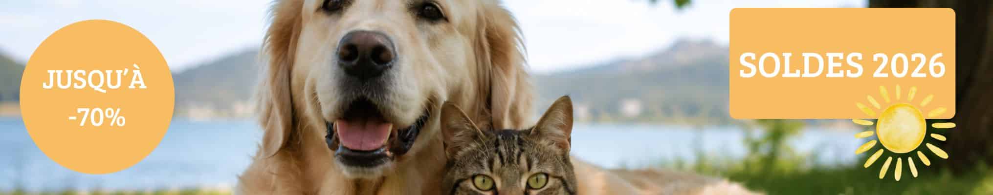 Soldes pour chien 2026