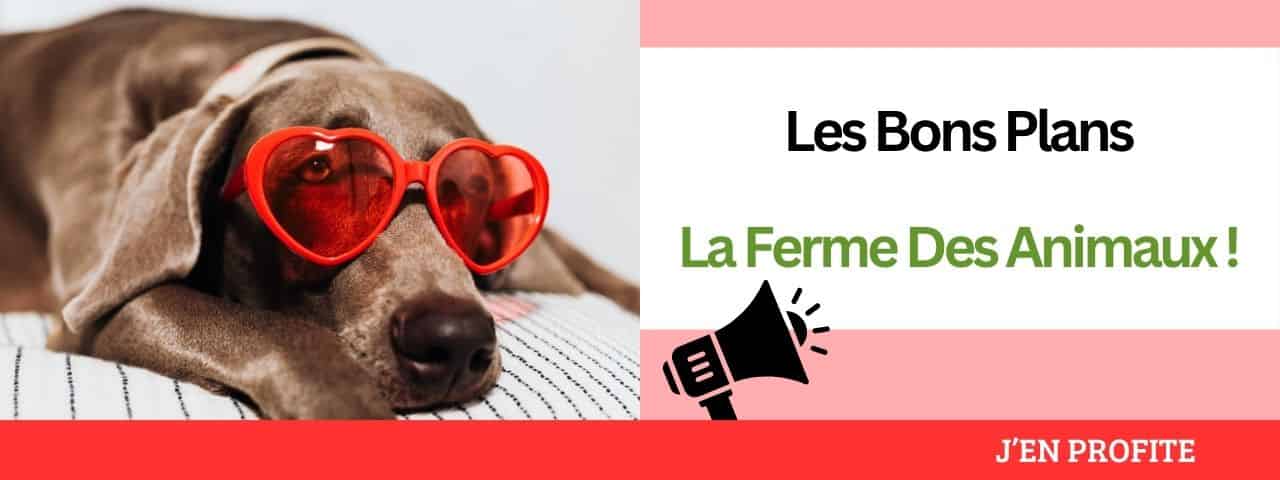 Les bons plans réductions