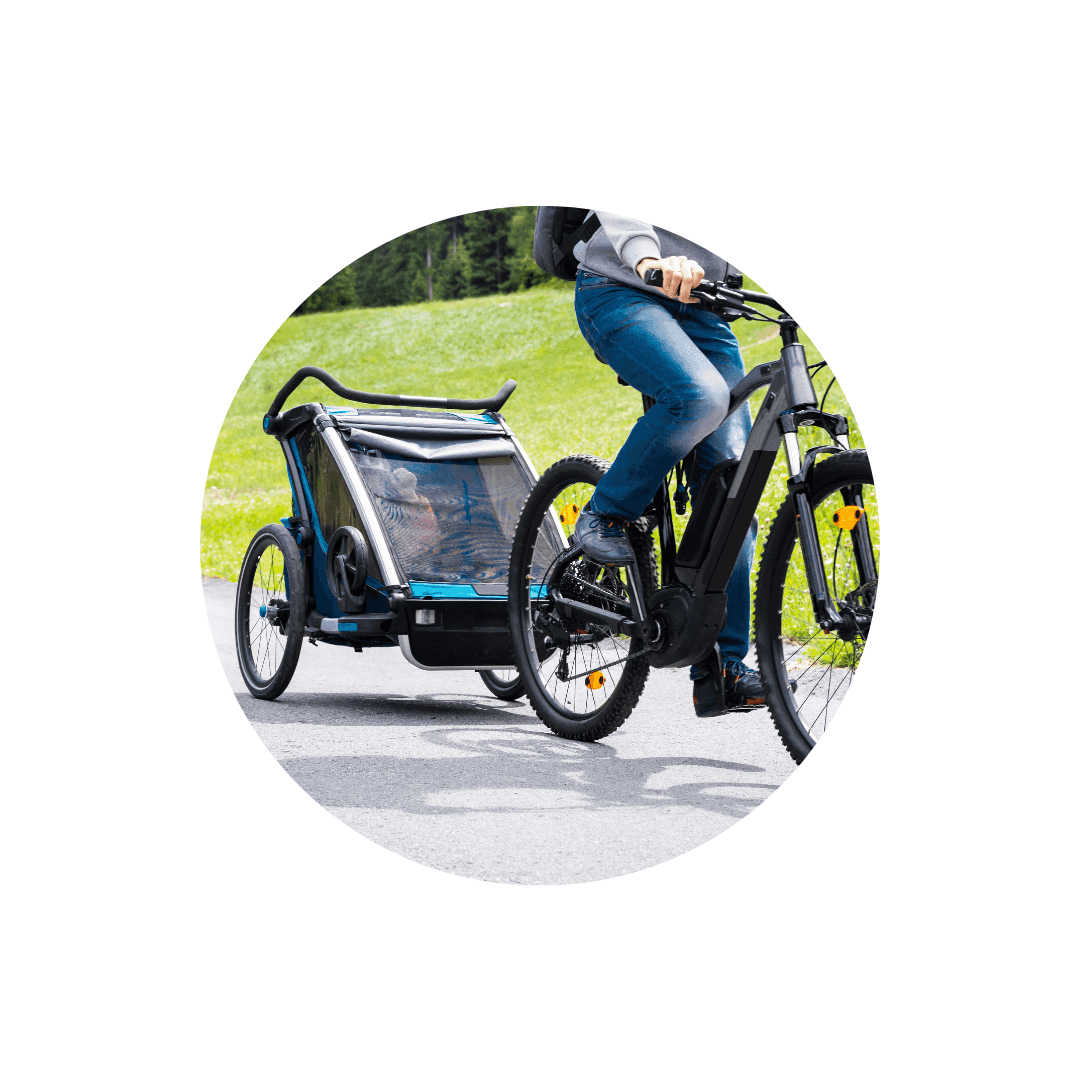 Remorques de vélo pour chien