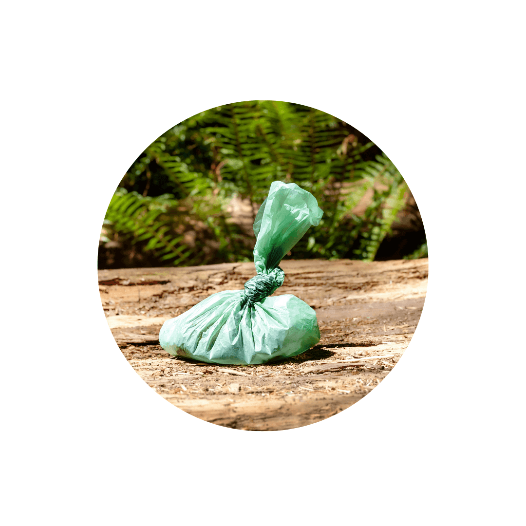 Produits d'hygiène du chien