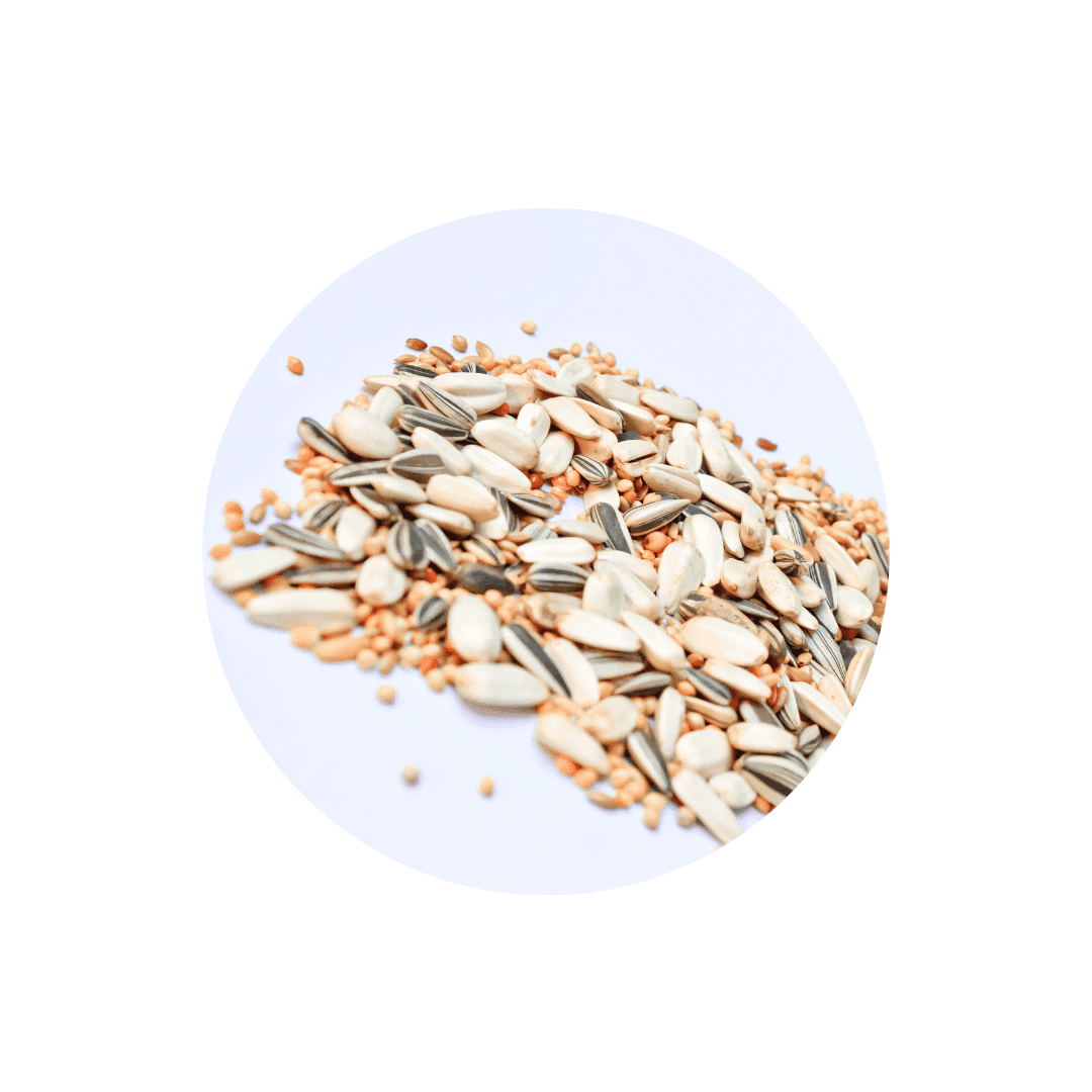 Nourriture et graines pour oiseaux