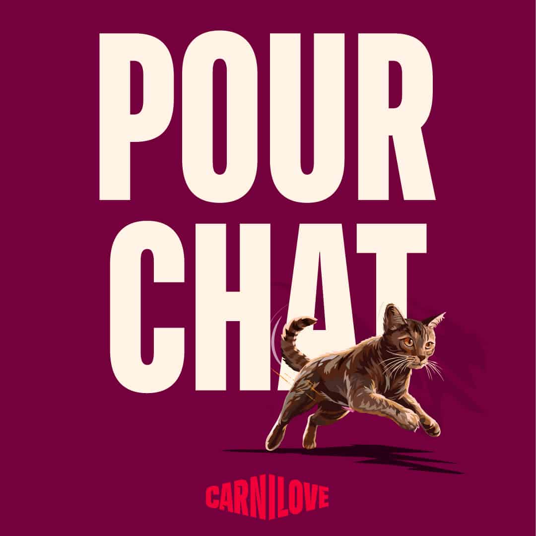 Carnilove pour chat