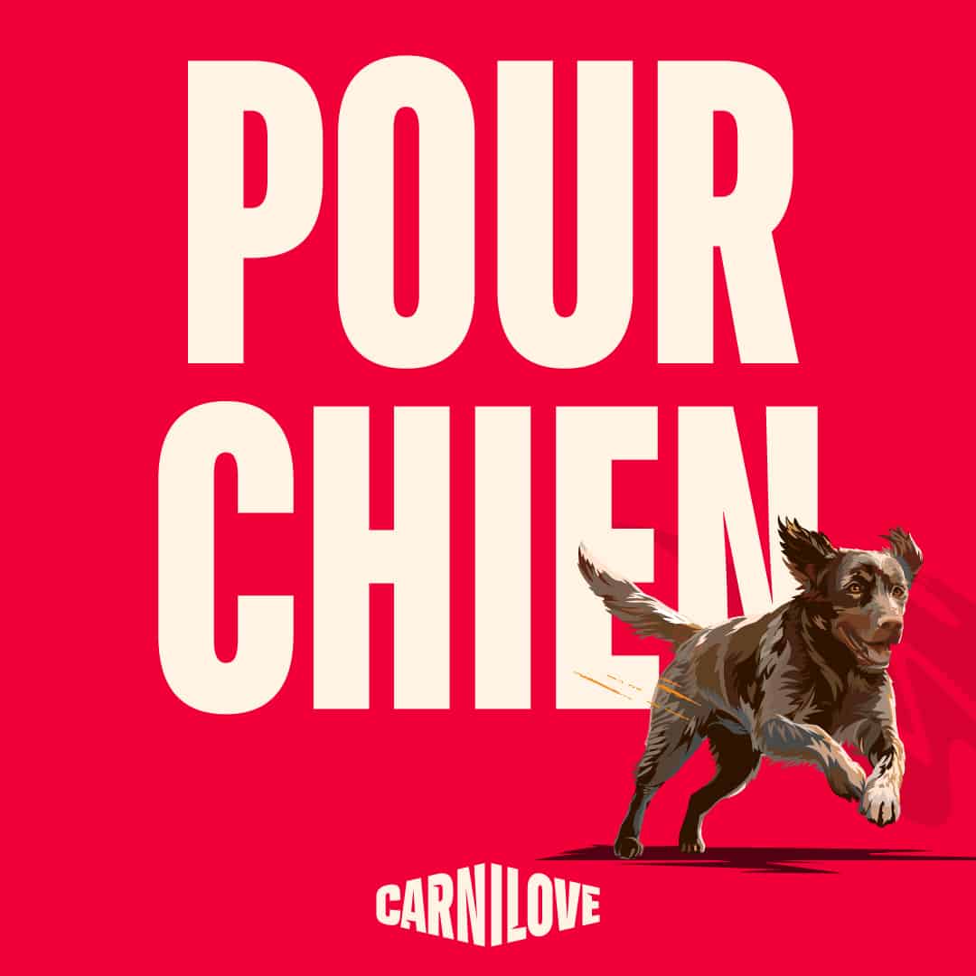 Carnilove pour chien