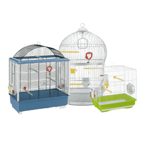 Cages pour canari