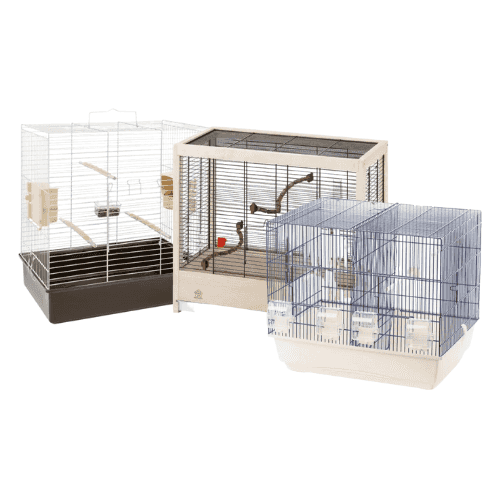 Cages pour petit oiseau