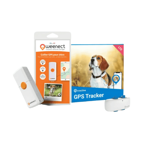 Colliers GPS pour chien
