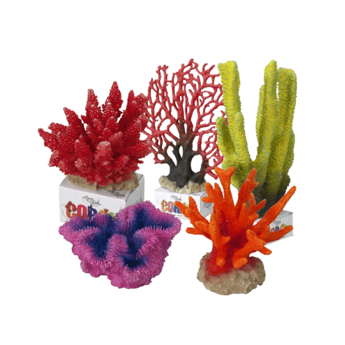Coraux pour aquarium