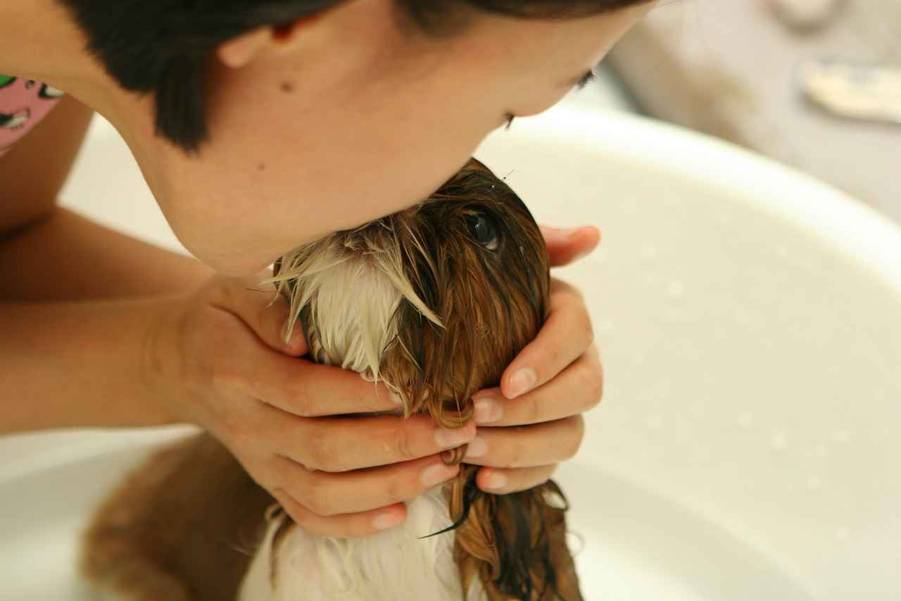 Shampooing pour chien Bio groom