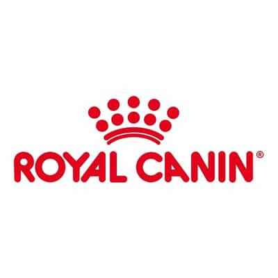 Croquettes chat Royal Canin