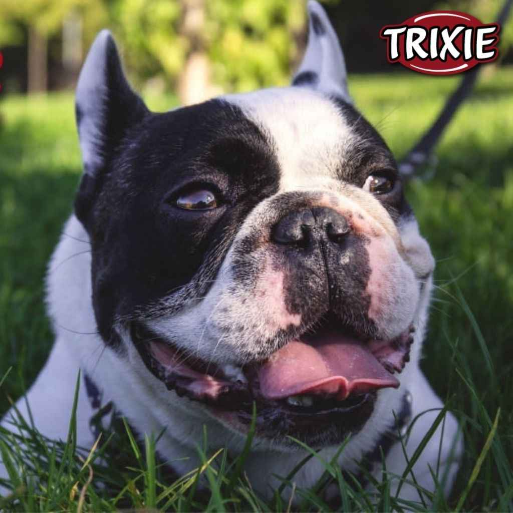 Produit pour chien Trixie