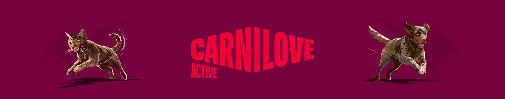 Carnilove active
