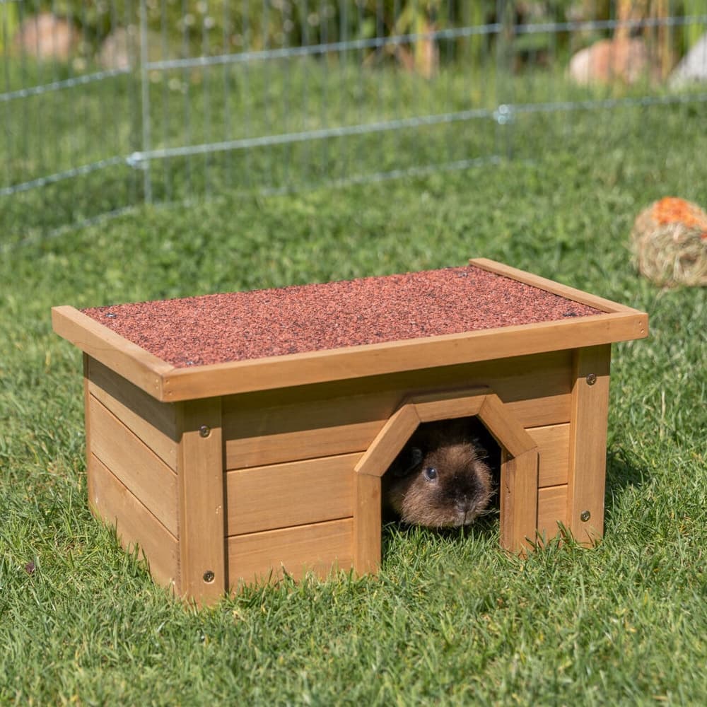 Abri Natura pin vernis pour petits animaux