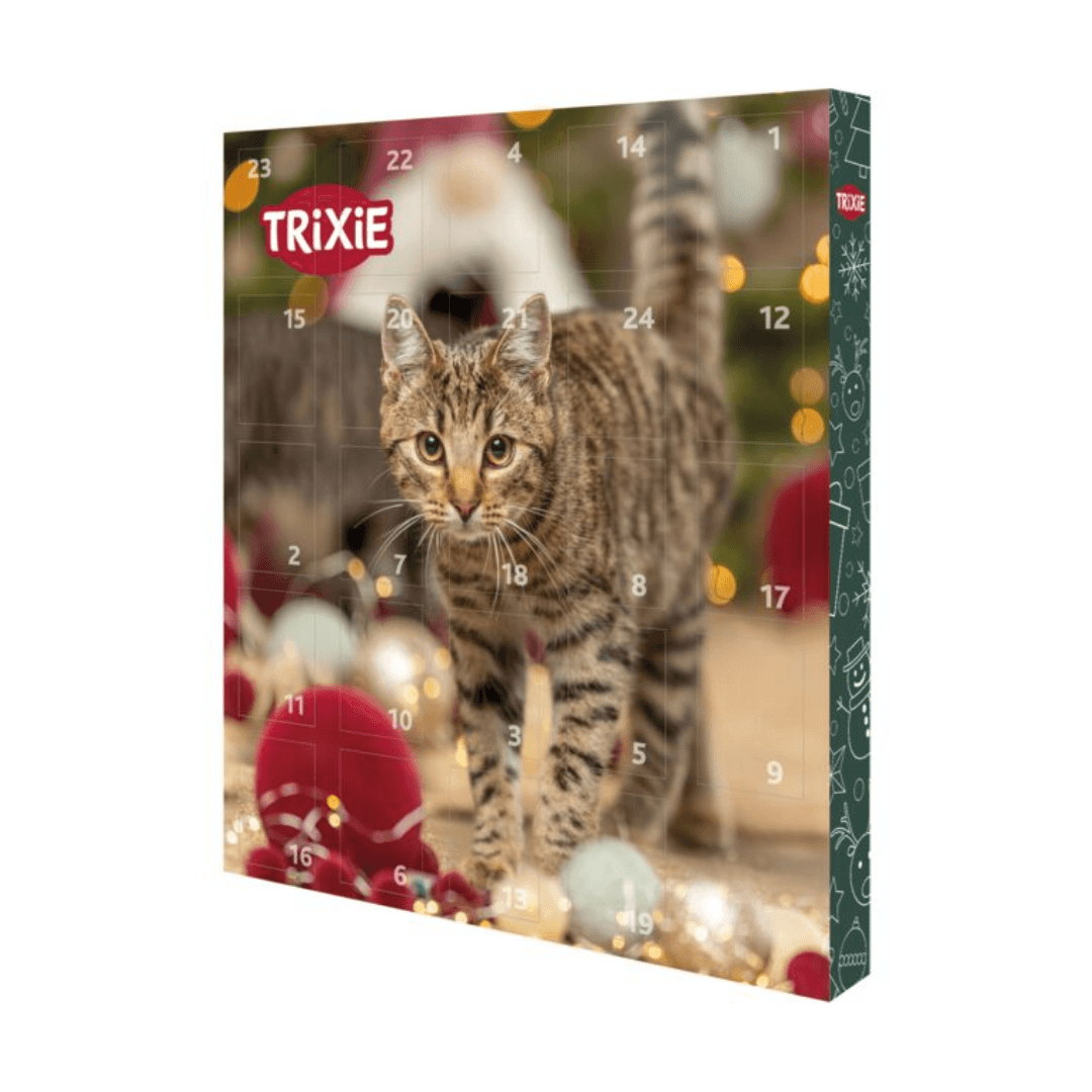 Calendrier de l'Avent pour chats