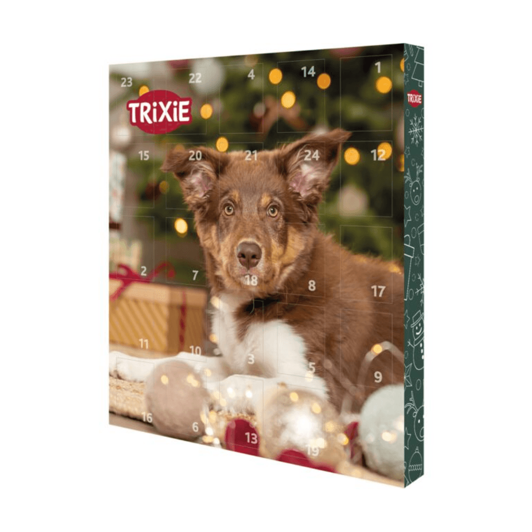 Calendrier de l'Avent pour chiens