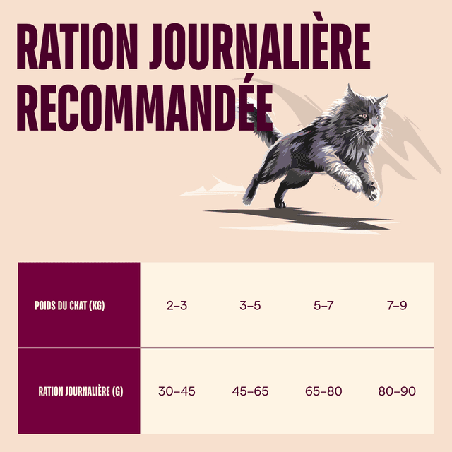 Carnilove Active pour chat stérilisé - Agneau / Sanglier sauvage