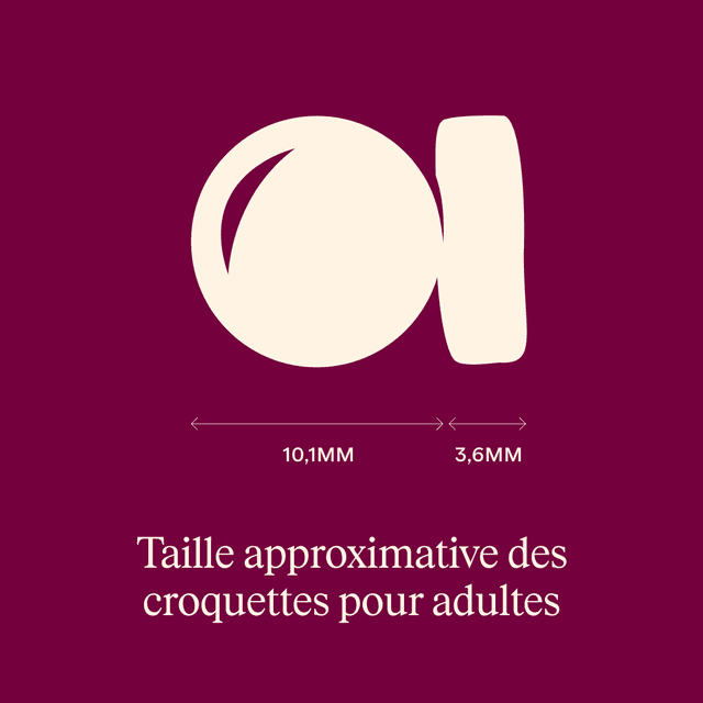 Carnilove Active pour chat stérilisé - Agneau / Sanglier sauvage