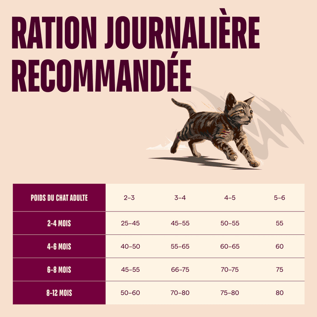 Carnilove Active pour chaton - Saumon / Dinde