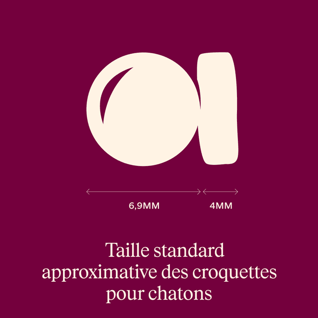 Carnilove Active pour chaton - Saumon / Dinde