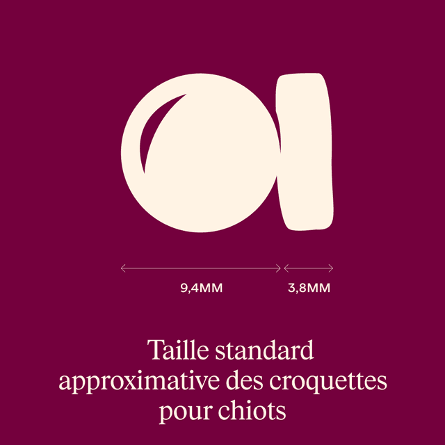 Carnilove True Fresh pour chiot - Canard