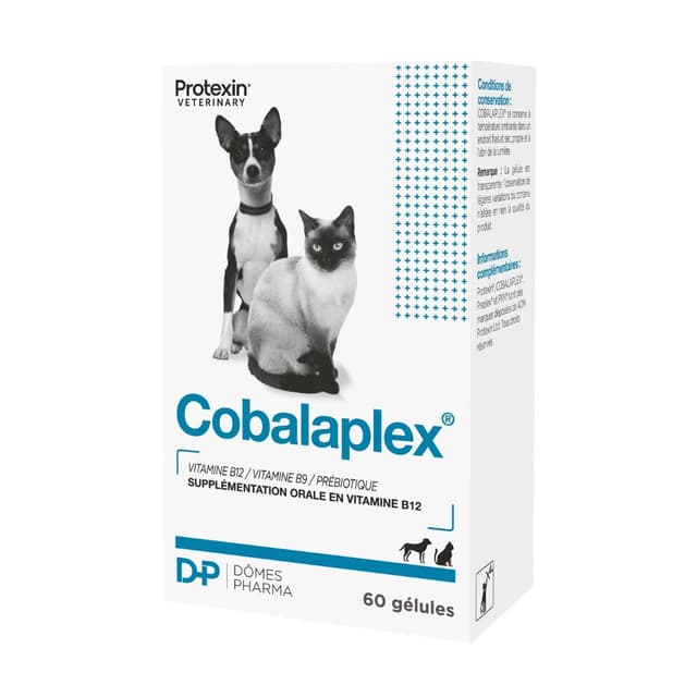 Cobalaplex Dômes Pharma