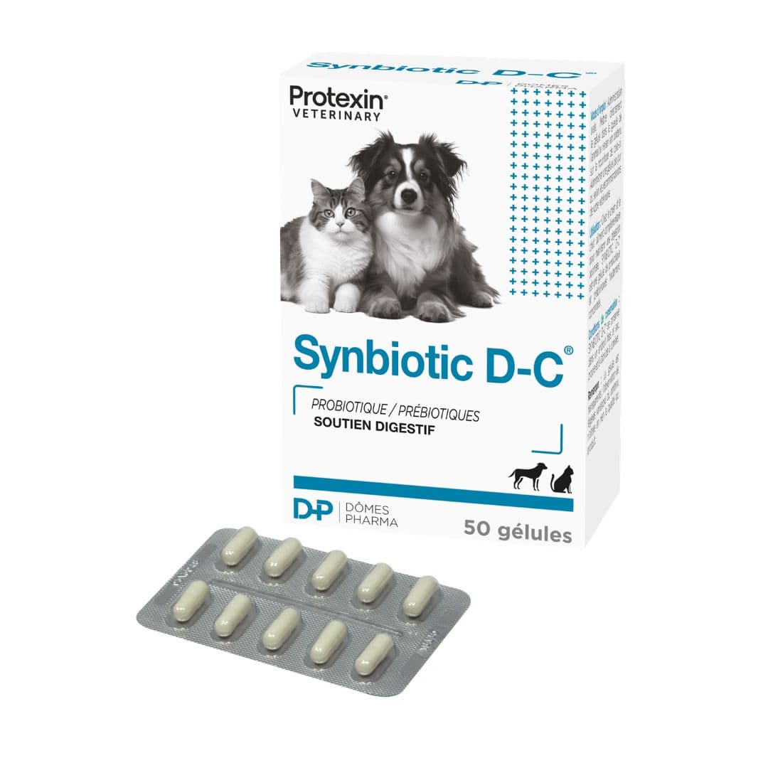 Complément alimentaire Synbiotic D-C