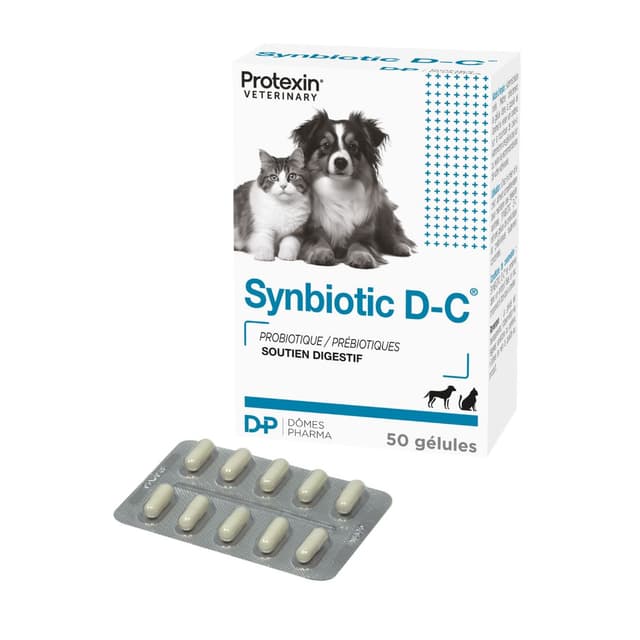 Complément alimentaire Synbiotic D-C