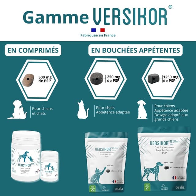 Comprimés Versikor 500 pour chien et chat