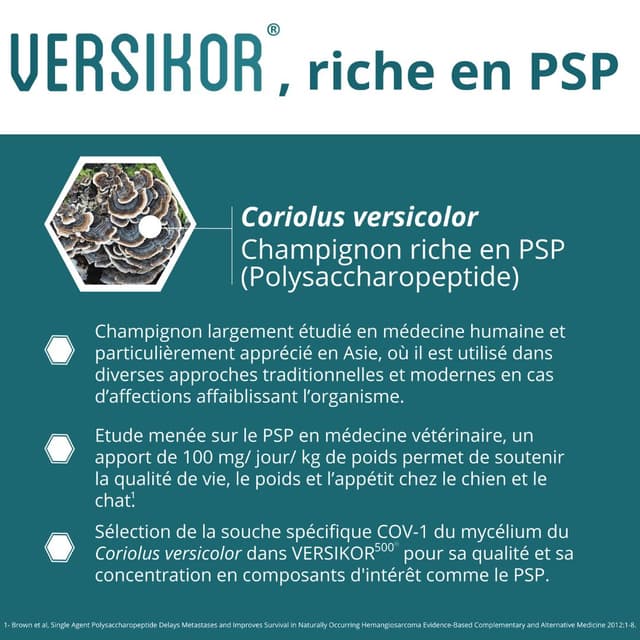 Comprimés Versikor 500 pour chien et chat