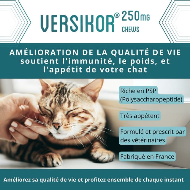 Comprimés Versikor 500 pour chien et chat
