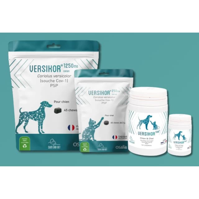 Comprimés Versikor 500 pour chien et chat