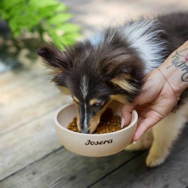 Croquettes Josera Miniwell adulte petites races