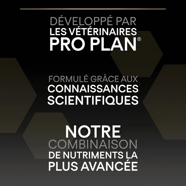 Croquettes Pro Plan Small et Mini Adult Sensitive Digestion Agneau