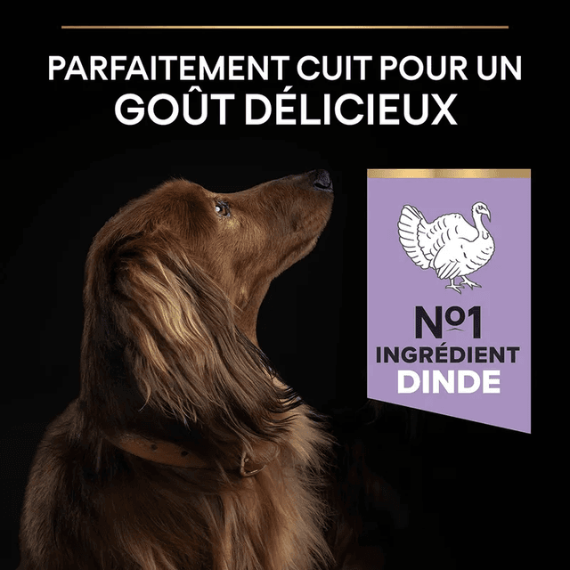 Croquettes Pro Plan Small et Mini Adult Sensitive Digestion Agneau