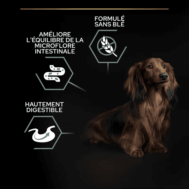 Croquettes Pro Plan Small et Mini Adult Sensitive Digestion Agneau