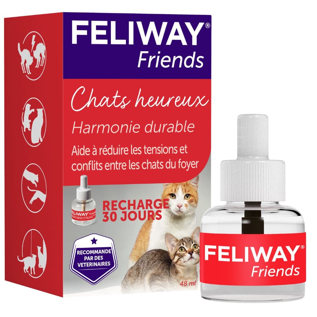 Feliway Friends