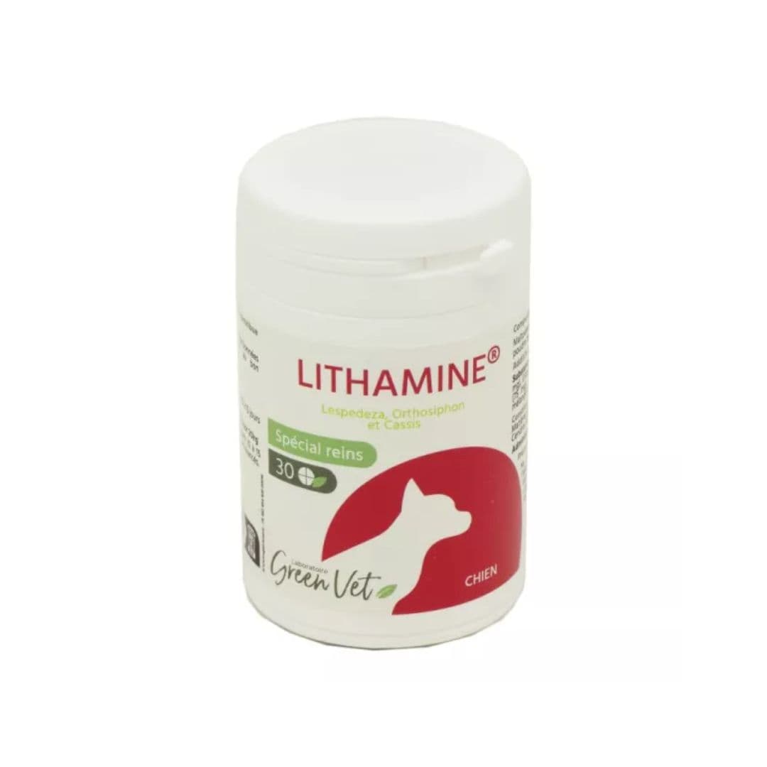 Greenvet lithamine chien