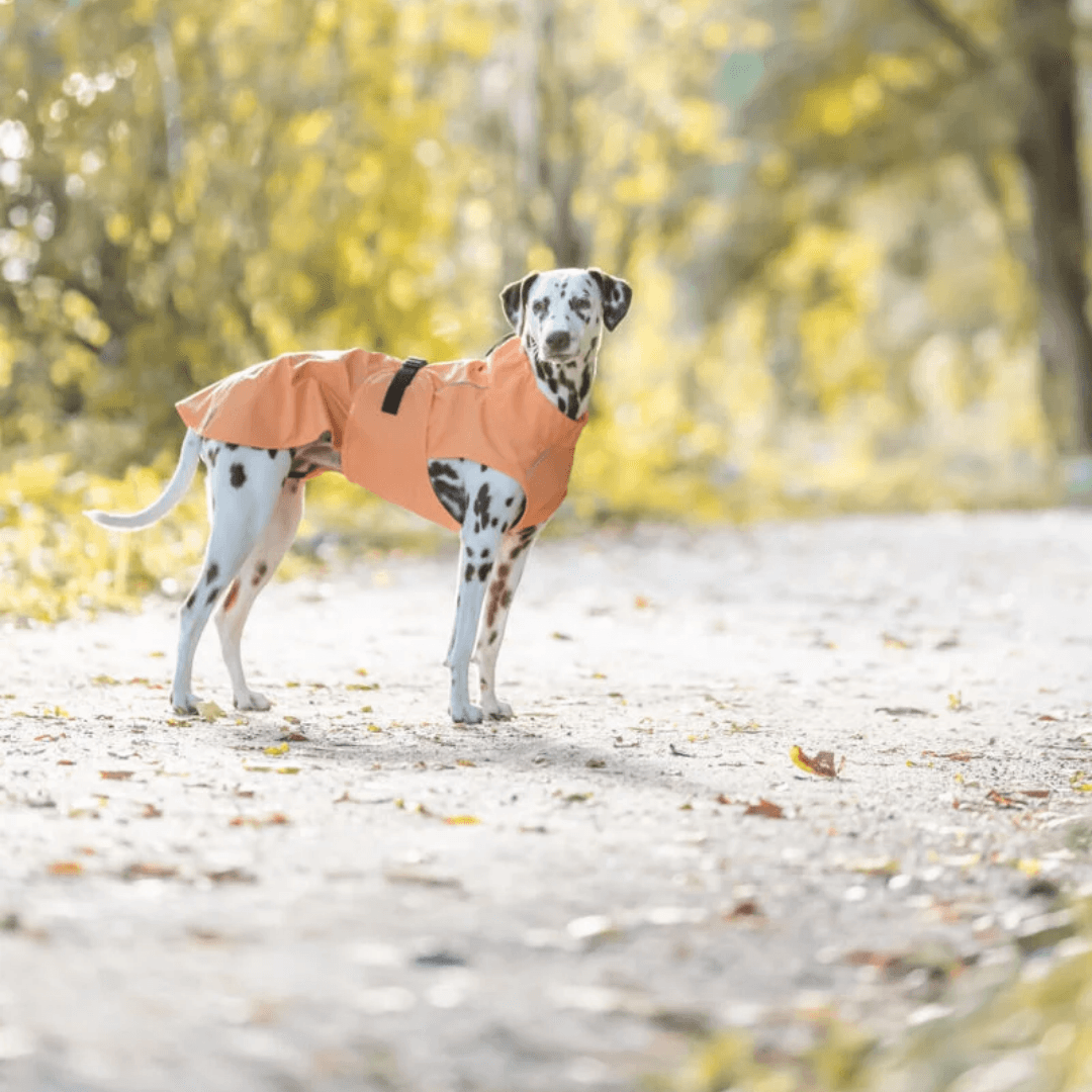 Imperméable Vimy - Orange