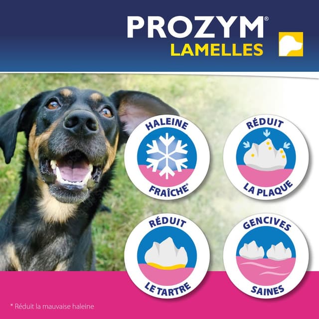 Lamelles à mâcher pour chien Prozym bucco-dentaire