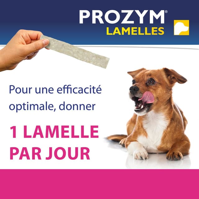 Lamelles à mâcher pour chien Prozym bucco-dentaire