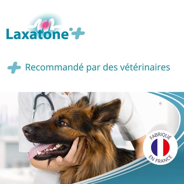 Laxatone + chien et chat : pâte orale à base d'Huile d'arachide