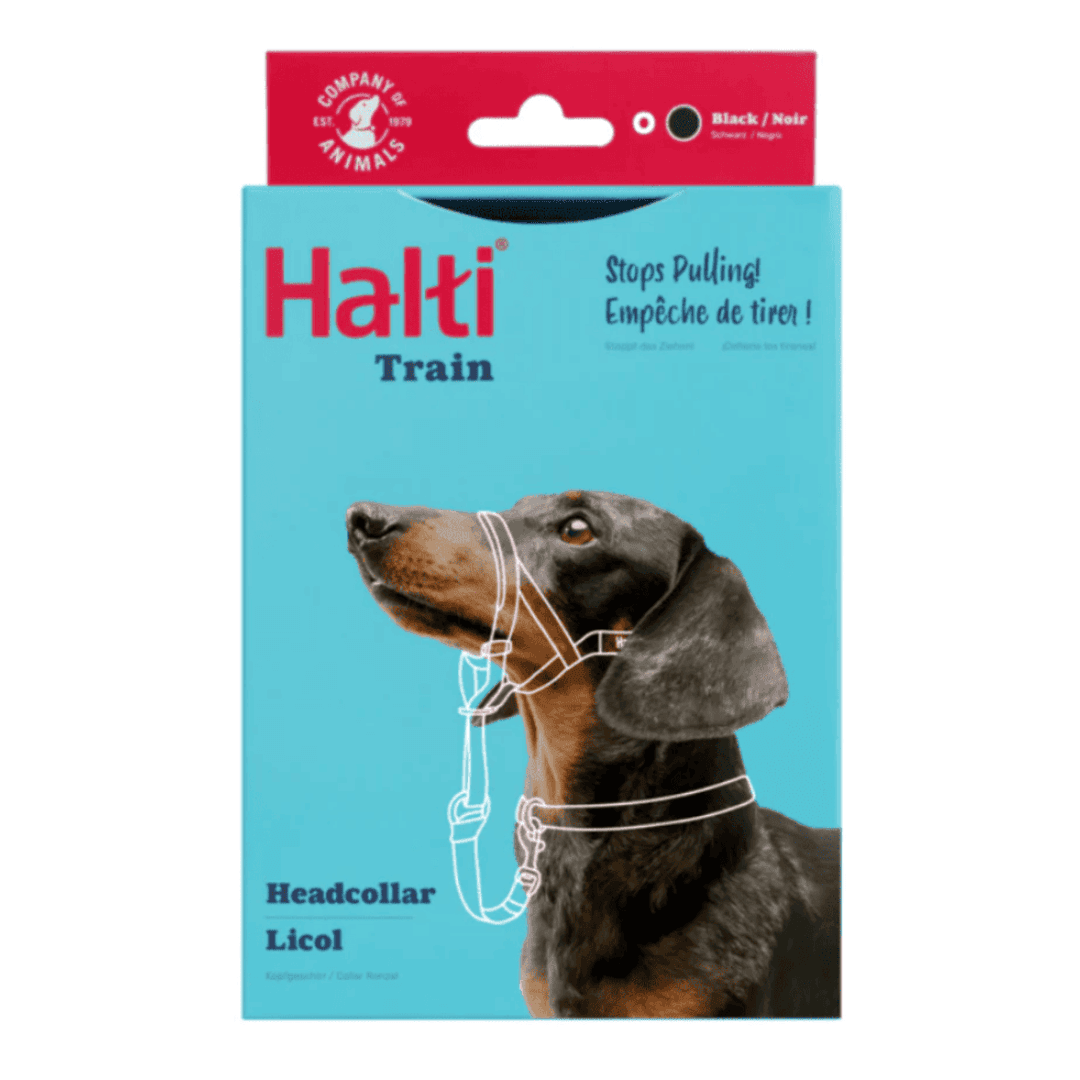 Licol de dressage Halti pour chien
