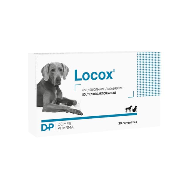 Locox soutien des articulations