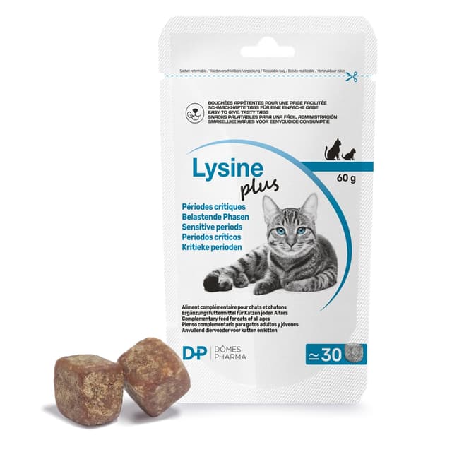 Lysine Plus Dômes Pharma