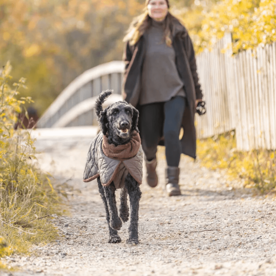 Manteau doudoune chien Minot Sherpa - Brun