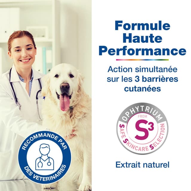 Mousse Douxo S3 Calm soin anti-démangeaisons pour chien et chat