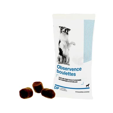 Observence Complément alimentaire appétent pour chiens