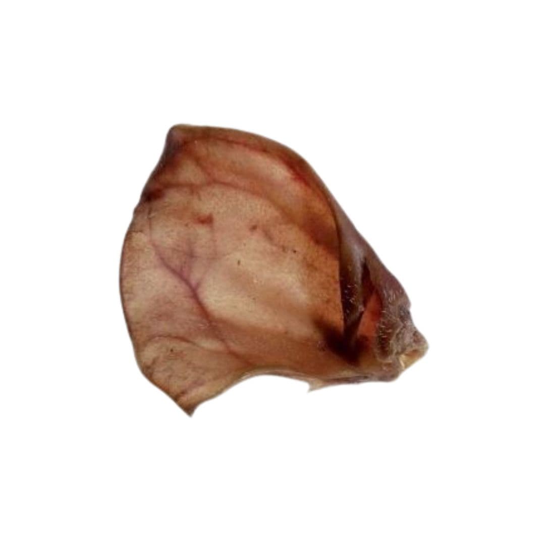 Oreilles de porc Bubimex pour chien