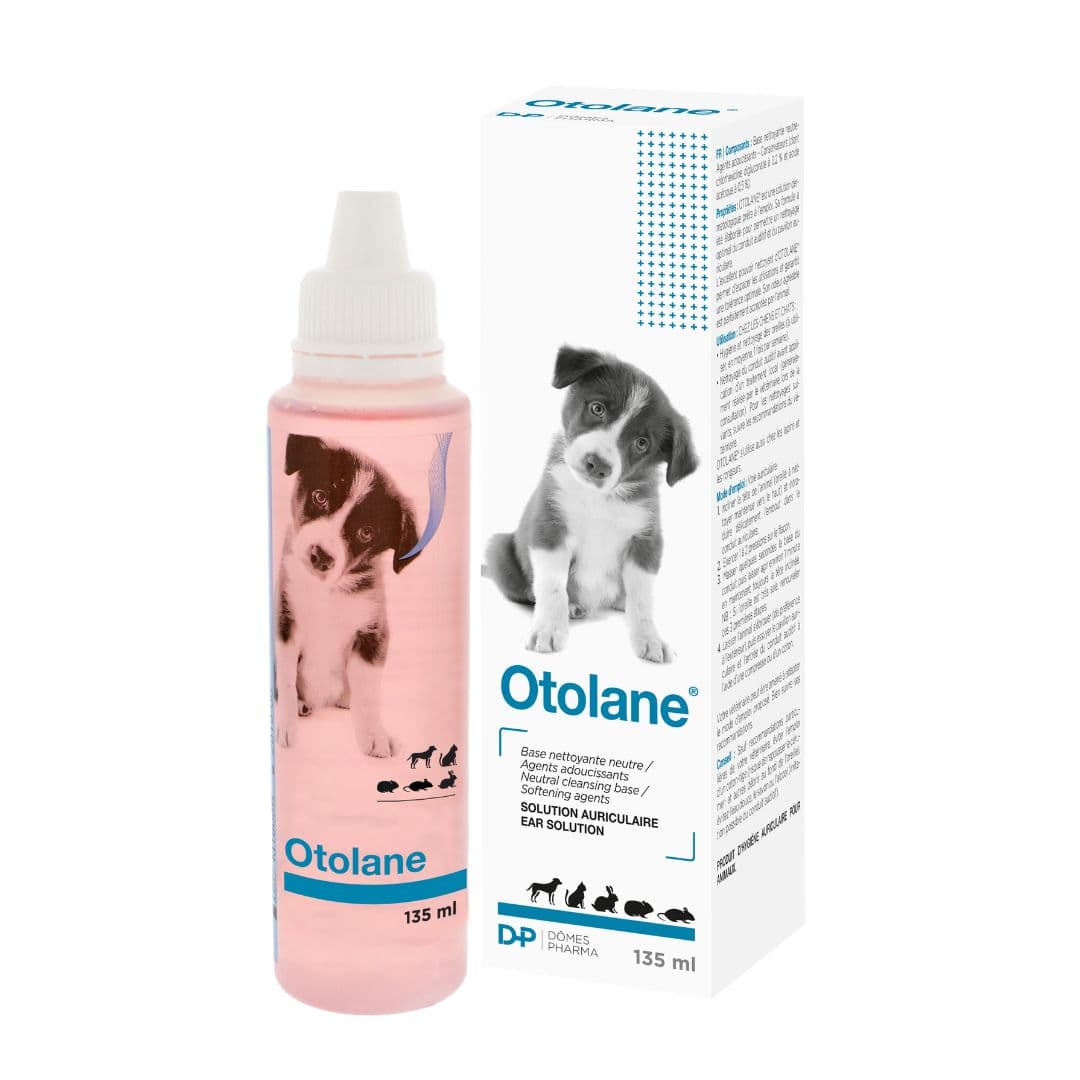 Otolane solution auriculaire