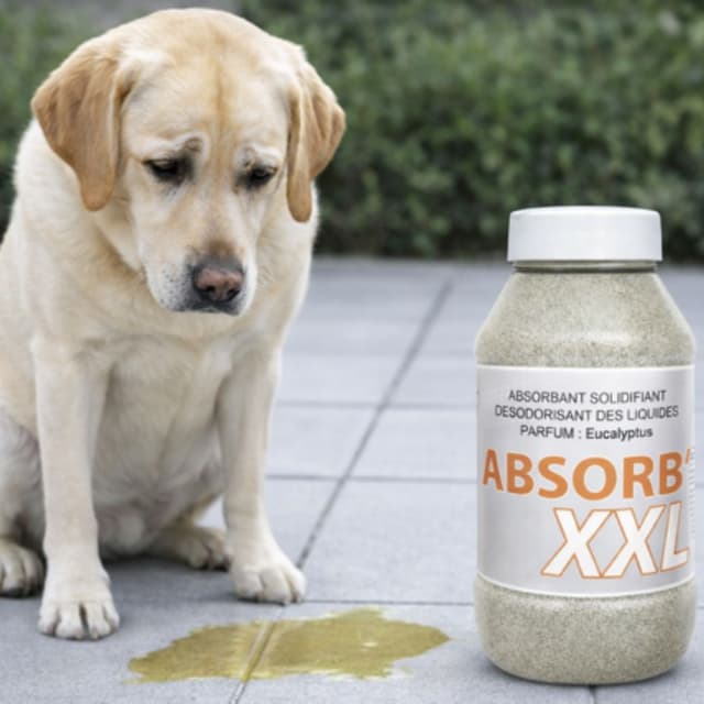 Absorbant solidifiant désodorisant Absorb'XXL