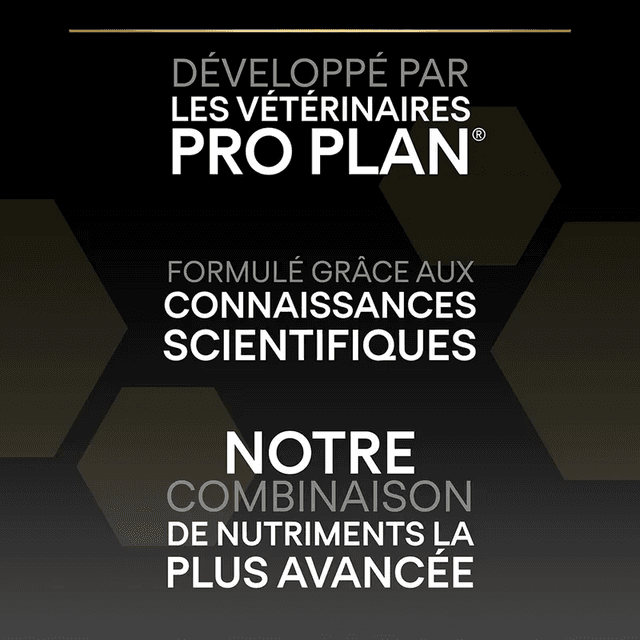 Pro Plan Large Adult Robust Sensitive Digestion Agneau
